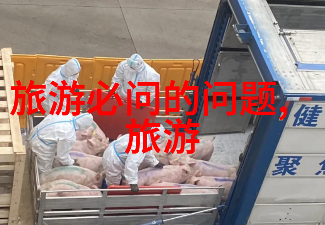 数字化服务与人文关怀相结合未来发展趋势分析