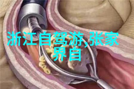 上海特色美食之旅品味非典型的本土美食