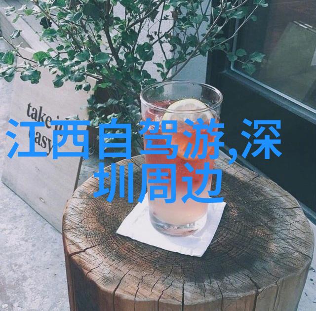 出国必备手续护照签证申请行程安排旅行保险