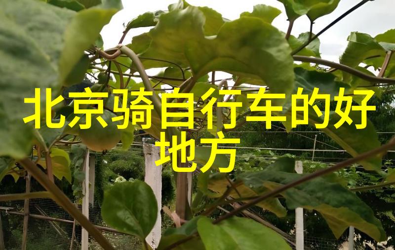 云南迷人风光探秘最佳旅游路线