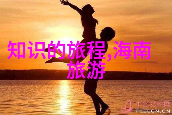 深度探索加拿大移民的双刃剑情感共鸣中的选择与挑战