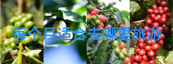 江南水乡的诗意之旅苏州园林深度游