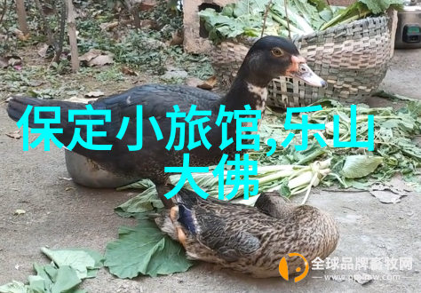 10月秋色绘卷中国最美景区万里长城庐山九寨沟