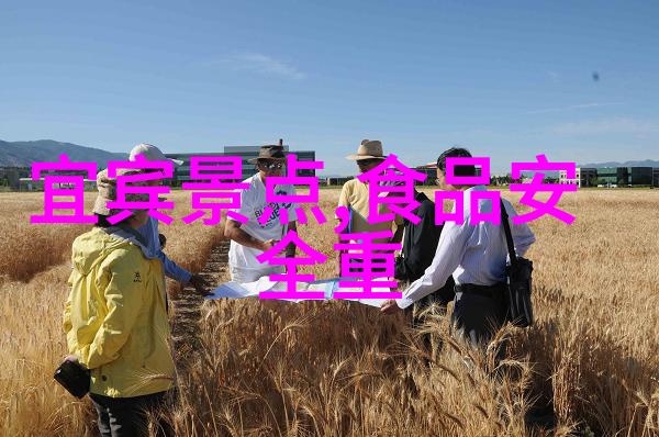 三四月国内旅游最佳去处追逐花开的美丽时光