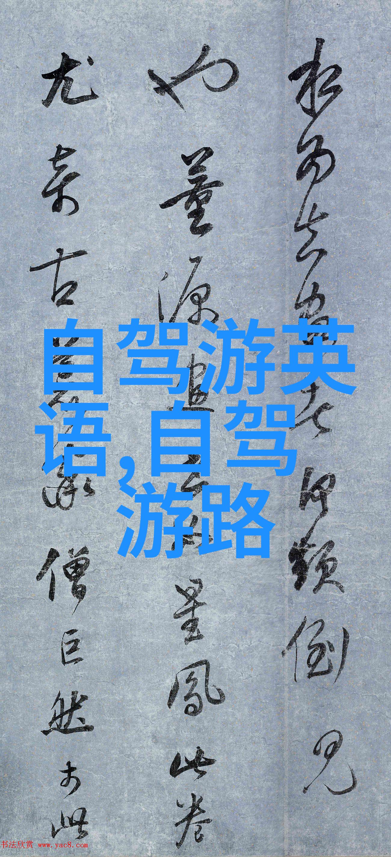 上海复兴公园之旅云南特色线路探秘