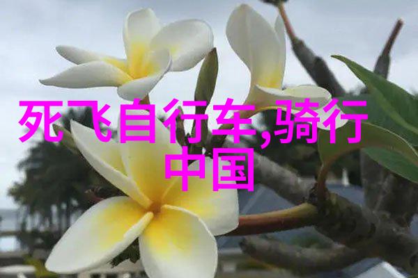 青岛五日游一段未知的海岸线探秘