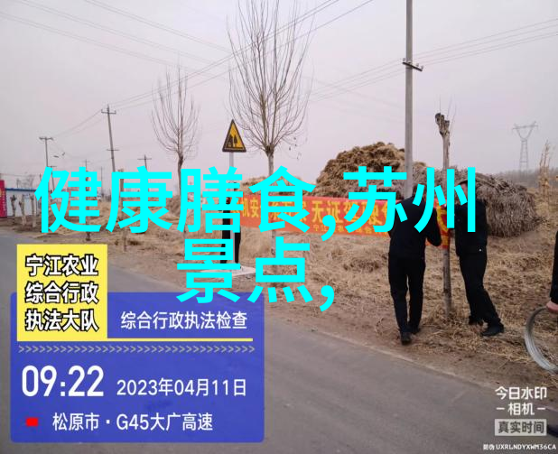 荒漠中的水城追逐沙漠之光的奇迹之旅