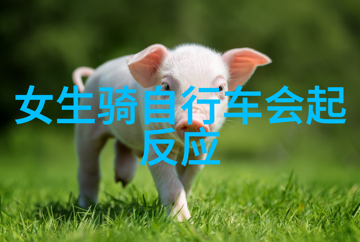 探索新疆奇迹新东方快车的未知旅程