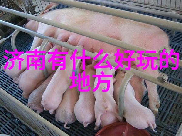 超级强兵 笔趣阁虚拟世界中的超级战士
