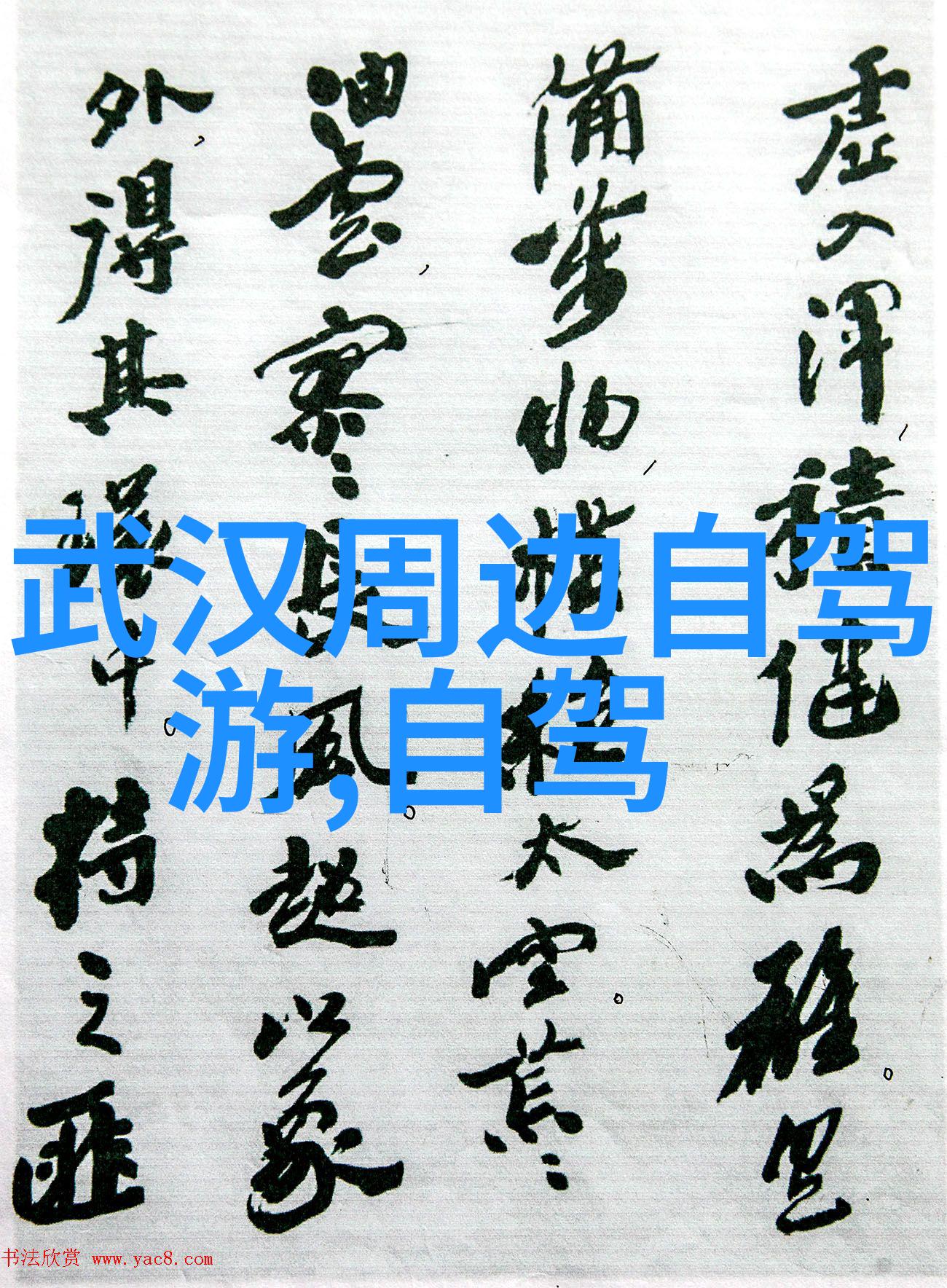 公司小型团建活动方案如何设计出既有趣又富有意义的体验