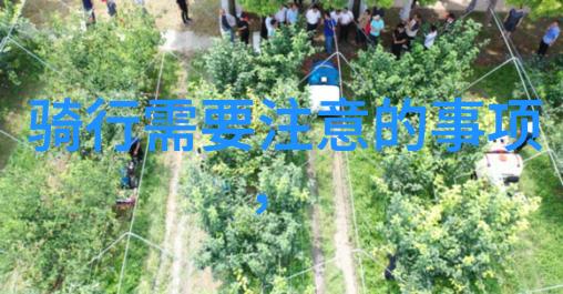 豪华机遇与简约舒适北京大兴机场住宿攻略