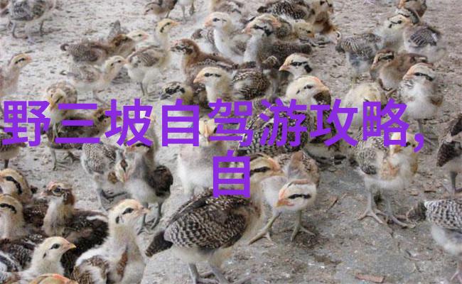 青岛疾控中心发布最新消息-疫情动态青岛疾控中心紧急通报新变种病毒流行趋势