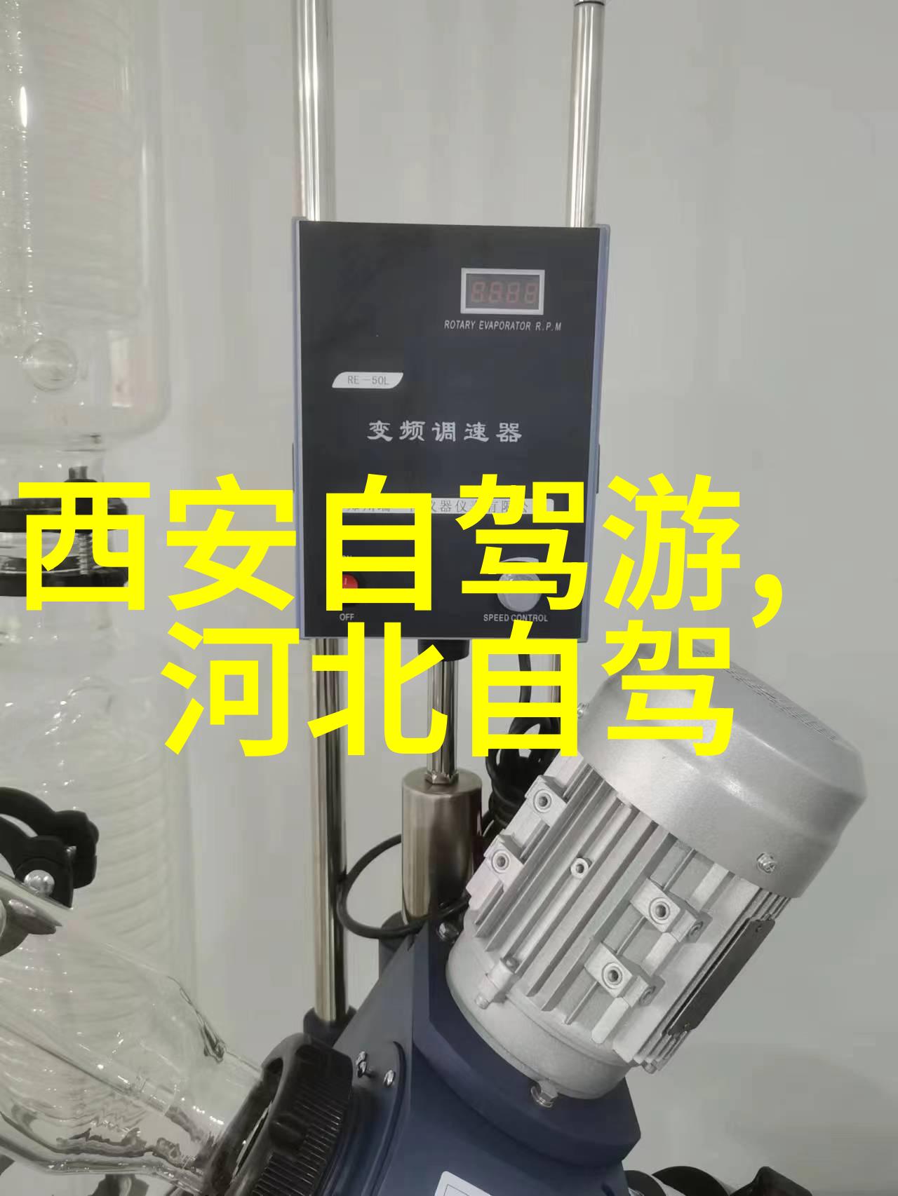 暖阳洒满金辉二月适合去哪里旅游