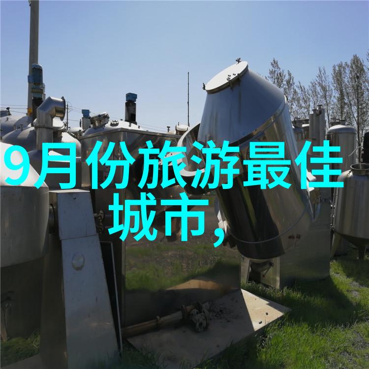 夏日阳光下的探险之旅幼儿园户外游戏盛宴