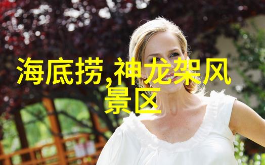 七彩丹霞下的奇迹探秘风化石的色彩世界