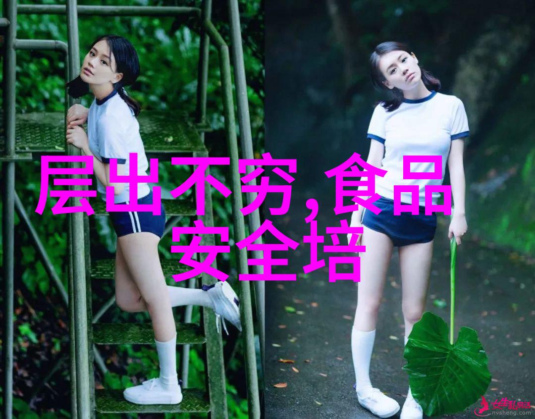 探秘十一月自驾游畅享国道美景的最佳路线