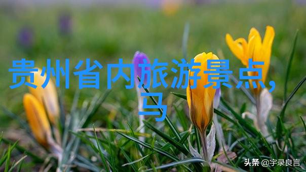 出国旅游的乐趣与挑战如何规划一次完美之旅