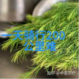 揭秘全国美食宝库那些闻名遐迩的小吃街