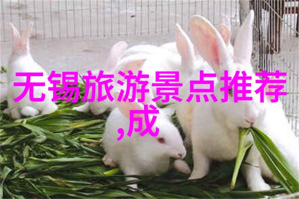 香港2022隔离酒店费用究竟有多高