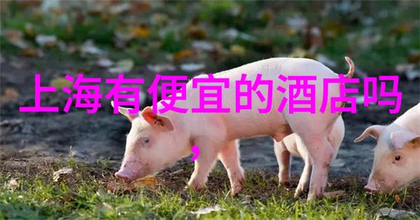 工作地点对旅游局招聘有什么影响吗