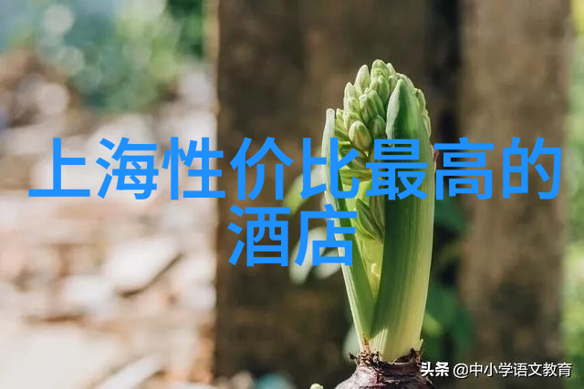 自驾游地图查询系统高精度导航服务