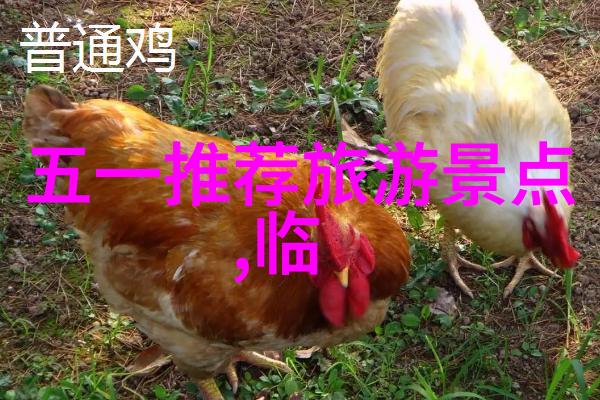 烟台旅游攻略三天游海边风光山城古韵美食盛宴