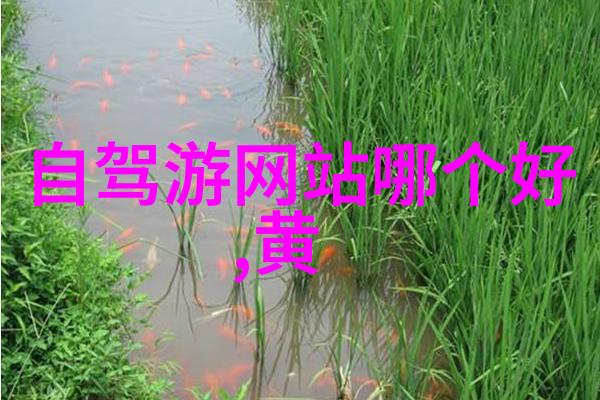 上海日结探索城市精髓与时间的节奏