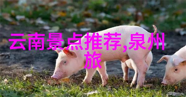 国内6天最佳旅游地方-探秘中国最美六天游记