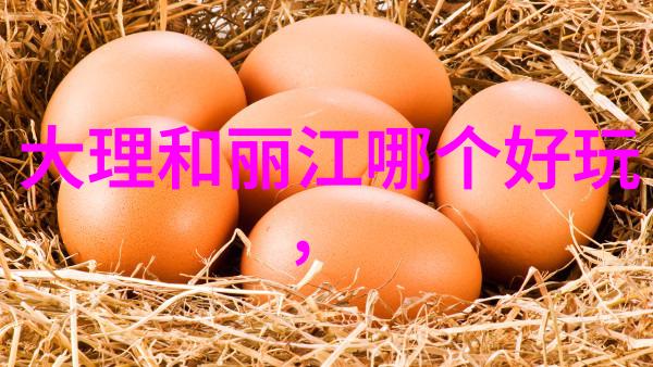 文化体验之旅深入了解三亚历史与民俗