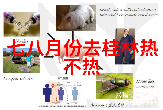 云南旅游超详细攻略路线探索云南美景之旅