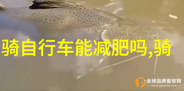 彭于晏王珞丹等主演的破风如同一幅精致的画卷在暑期档中首次展开犹如环绕太湖畔的骑行路线图引人遐想