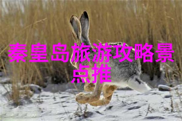 知识海洋构建百万字符世界观的技巧与策略