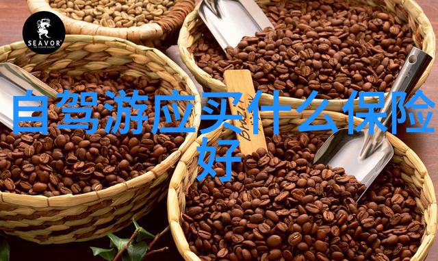澳大利亚金 Coast 的秘密海滩被曝光让人惊叹自然奇观