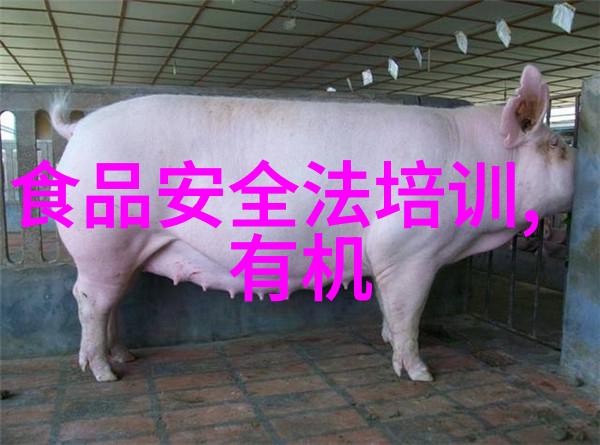 2022新闻热点事件旅游我去年夏天的那次惊心动魄的旅行记从乌克兰边境到泰国海滩的逃离之旅