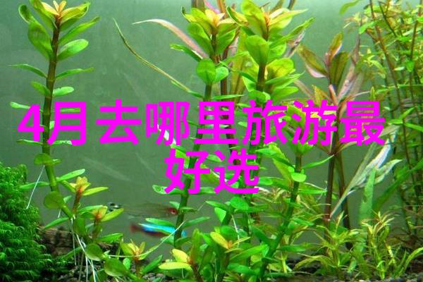 世界上十大景点 - 穿越时空的奇迹揭秘地球上最令人惊叹的旅游胜地