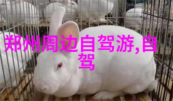 主题我都惊叹了今年上半年国内旅游总人次达18.7亿你去过哪些热门景点