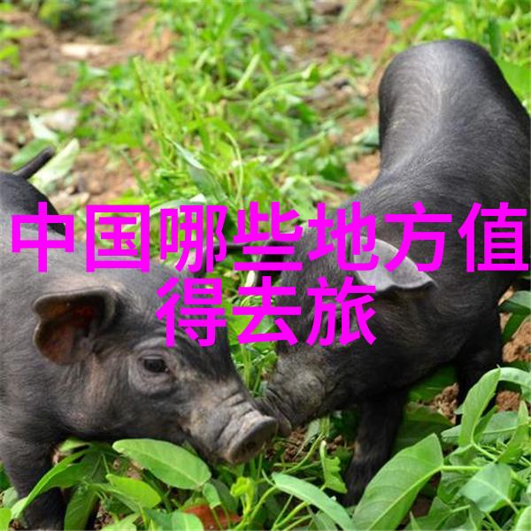 柳薄解放军烈士墓