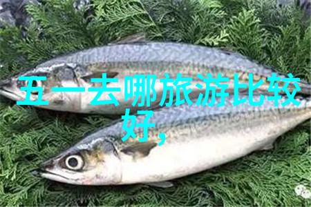 黄姚古镇诗画姚江景区2023年6月9日-8月31日对中高考考生有优惠