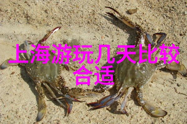 春暖花开的3月探秘那些值得一去的旅游奇迹