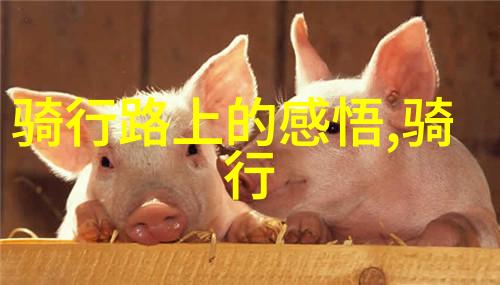 骑行与奔跑哪个更佳探索两种运动的优势与魅力