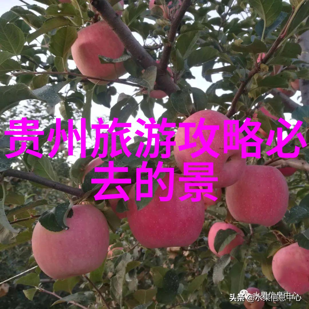贵州探秘揭秘黔东南的奇迹与风情