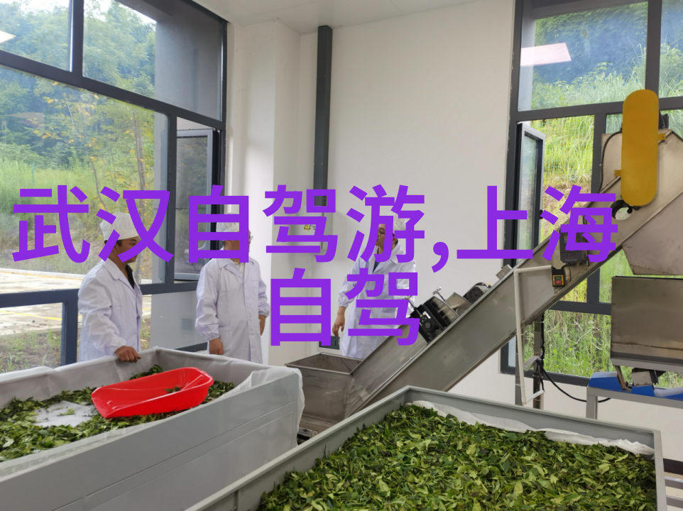 云南美丽风光一条自由行之旅