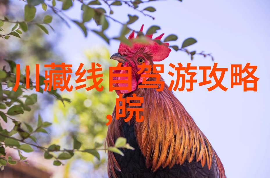 最新旅游热点探秘那些让人心动的美丽目的地