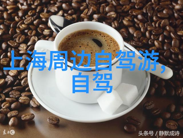 山川交错的钢铁征途骑行川藏线十大自行车