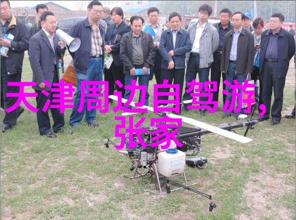 数字背后的故事深度分析今年上半年国内旅游总人次达18.7亿