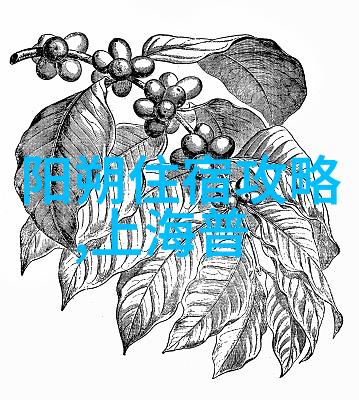出行指南中国人是否能自由游遍世界