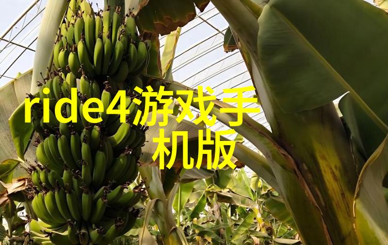 赣州美景游探索天然奇观与文化古迹