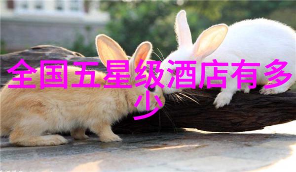天津周边自驾游开车不用怕找景不用累