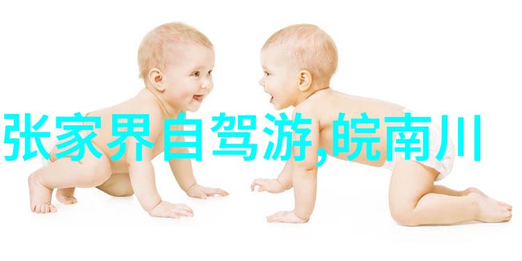 优秀作文800字初中满分游记我的探险日记从山脚到云端