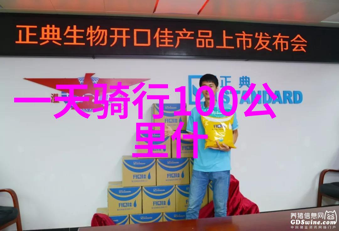 探索美景记录瞬间旅拍的艺术与乐趣